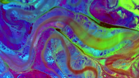 Hand Painted Background with Mixed Color Spreads and Swirls Texture 47 Stock Footage 325139541