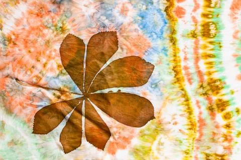 Hand painted brown chestnut leaf on silk batik Stock Photos