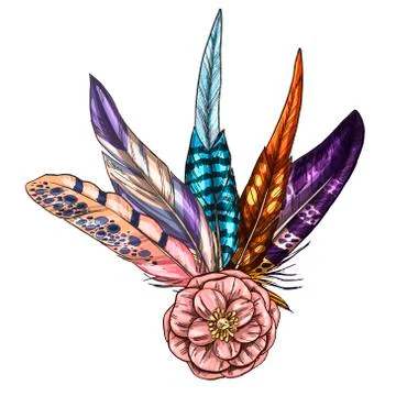 Hand painted composition of feathers and flower isolated on white background. Stock Illustration