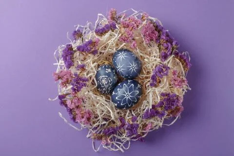 Hand painted dark blue easter eggs in nest and flowers on violet backgroud Stock Photos