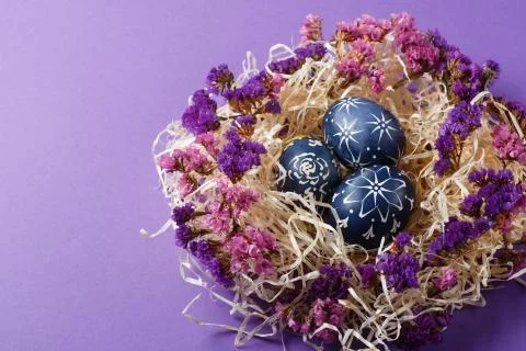 Hand painted dark blue easter eggs in nest and flowers on violet backgroud Stock Photos