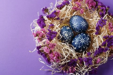 Hand painted dark blue easter eggs in nest and flowers on violet backgroud Stock Photos