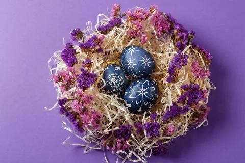 Hand painted dark blue easter eggs in nest and flowers on violet backgroud Stock Photos