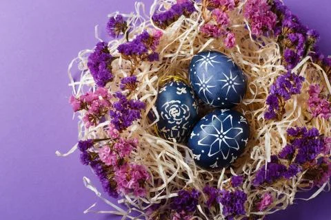 Hand painted dark blue easter eggs in nest and flowers on violet backgroud Stock Photos