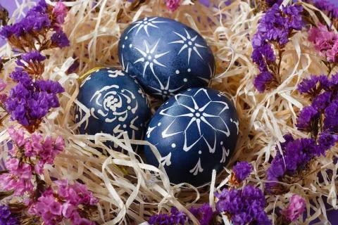 Hand painted dark blue easter eggs in nest and flowers on violet backgroud Stock Photos