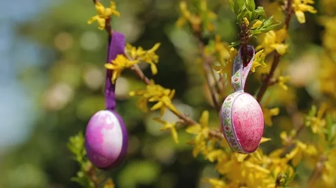 Hand Painted Easter Eggs Stock Footage 50613390