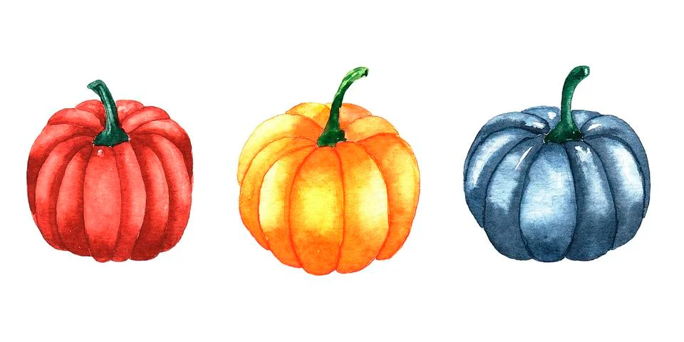 Hand painted element set with pumpkins, isolated on white background. Watercolor Stock Illustration