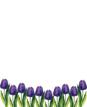 Hand painted floral elements set. Watercolor botanical illustration of eucaly Stock Illustration