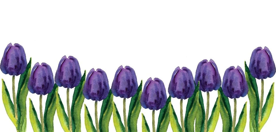 Hand painted floral elements set. Watercolor botanical illustration of eucaly Stock Illustration