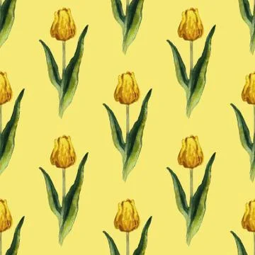 Hand painted floral elements set. Watercolor botanical illustration of eucaly Stock Illustration