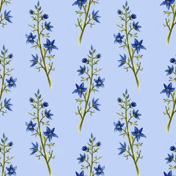 Hand painted floral elements set. Watercolor botanical illustration of eucaly Stock Illustration