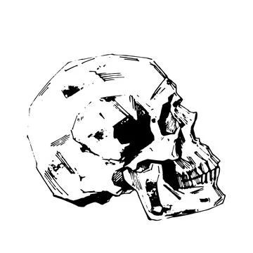 Hand-painted Human skull vector illustration at ink style Stock Illustration