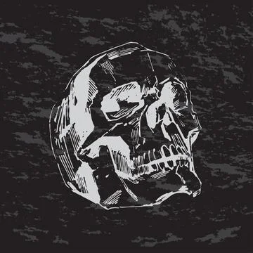 Hand-painted Human skull vector illustration at ink and chalk style Stock Illustration
