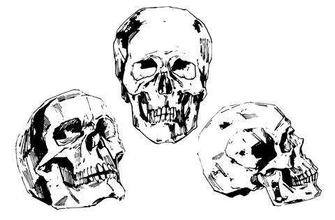 Hand-painted Human skull vector illustration at ink style Stock Illustration