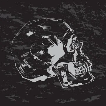 Hand-painted Human skull vector illustration at ink and chalk style Stock Illustration