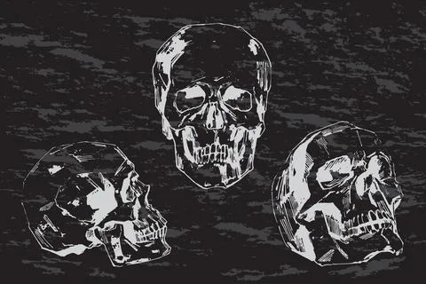 Hand-painted Human skull vector illustration at ink and chalk style Stock Illustration