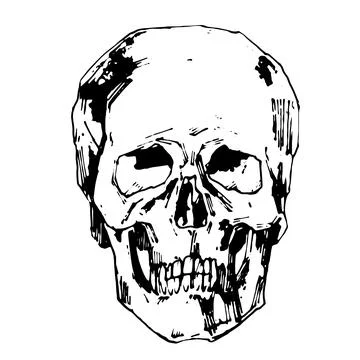 Hand-painted Human skull vector illustration at ink style Stock Illustration