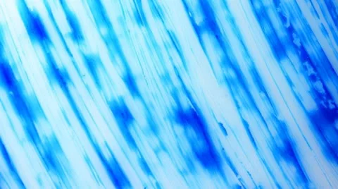 Hand painted. Loop. Video stock 12136004