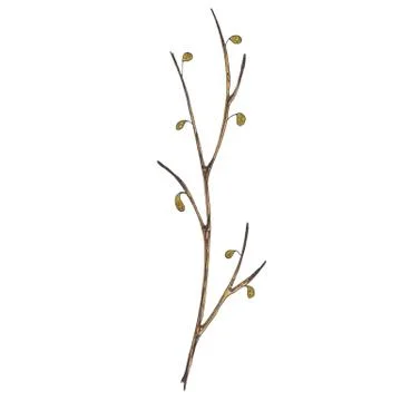 Hand painted with markers brown tree branch Stock Illustration