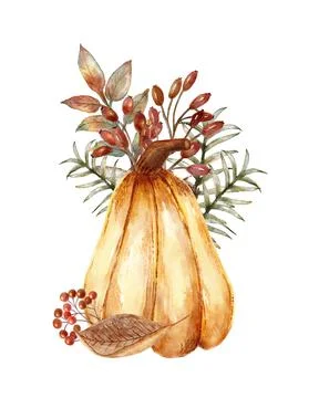 Hand painted orange pumpkin composition. Autumn festival, harvest. Botanical  Stock Illustration