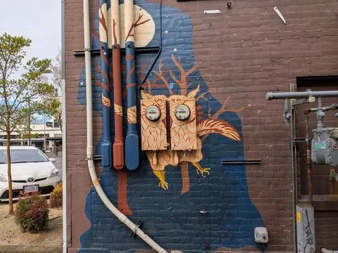 Hand-painted owl transforms utility meters and pipes Stock Photos