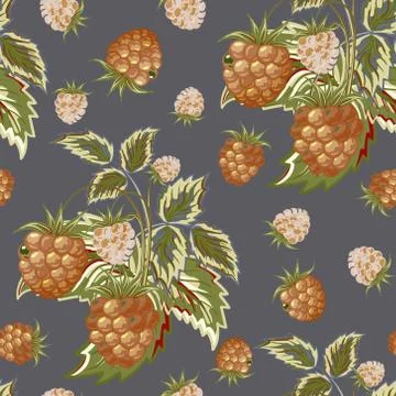 Hand painted pattern of pastel brown raspberry on gray backdrop. Fruit seamless Stock Illustration