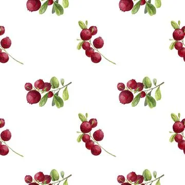 Hand painted pattern with red berry Stock Illustration