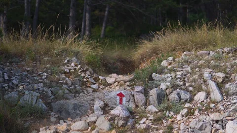 Hand painted red arrow on a rock on a foot trail surrounded by grass Stock Footage 127892409