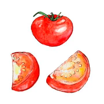Hand painted ripe tomatoes Stock Illustration