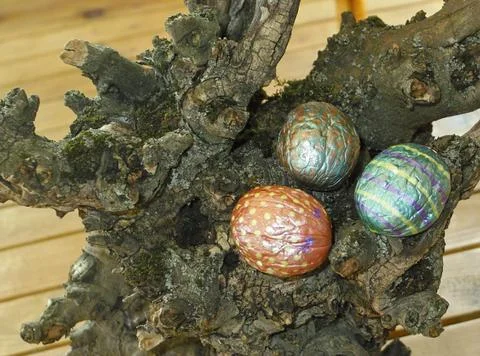 Hand painted walnuts shells Stock Photos