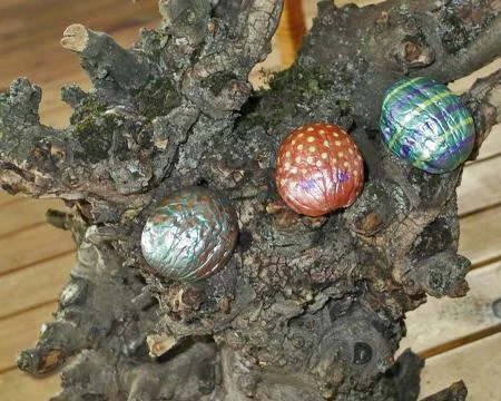 Hand painted walnuts shells Stock Photos