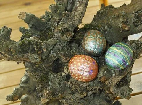 Hand painted walnuts shells Stock Photos