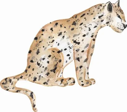 Hand painted watercolor exotic wild cat Leopard clipart, Illustration of a .. Stock Illustration