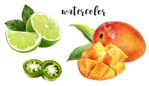 Hand-Painted Watercolor Mango, Lime, and Jalapeno Botanical Illustration Stock Illustration