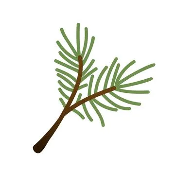 Hand-painted winter plants. Illustrations of evergreen. Spruce branch for d.. Stock Illustration