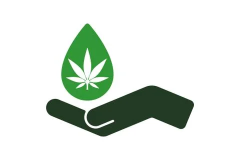 Hand, palm keeping drop with hemp leaf inside. 库存插图