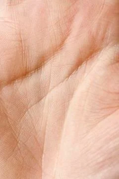 Hand Palm Texture Stock Photos
