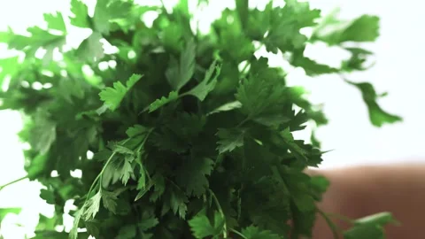 Hand with parsley at a window. Window garden concept. Video stock 315590543