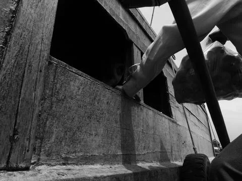 Hand passing plastic bag through boat window Photos