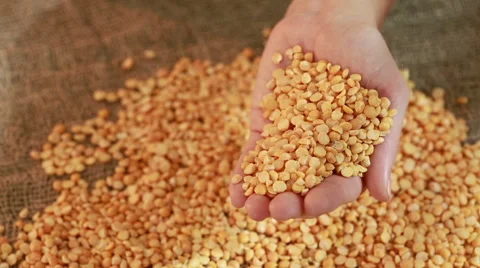 Hand with peas seeds ready to sowing Stock Footage 64682413