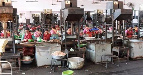 Hand peeling of Cashews Stock Footage 123802654