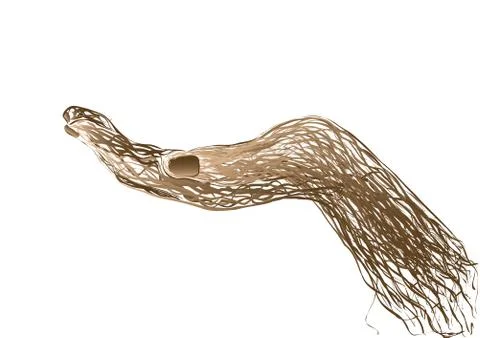 Hand of the person Stock Illustration