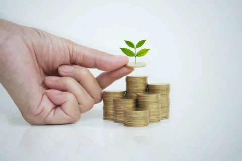 Hand of person with stack coins isolated on white background. Financial analy Foto stock