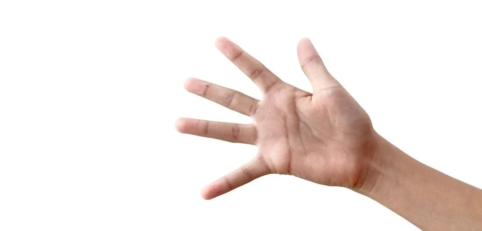 Hand 库存照片