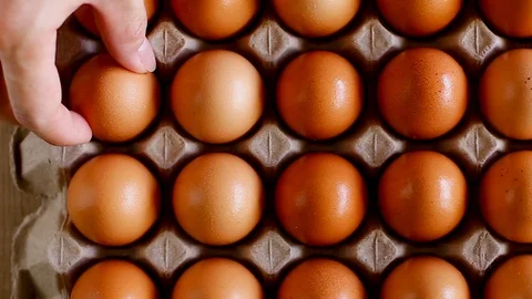 Hand pick up an eggs from the tray Stock Footage 129172009