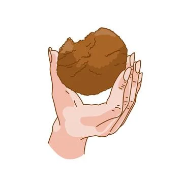 A hand pick up a stack of butter cookies. Make a food pastry. Coloring food page Stock Illustration