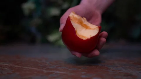 A hand picked up a red Apple from the floor Stockbeeldmateriaal 127702773