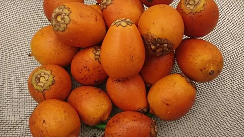 Hand picking awara fruit from mesh bowl. Top view of tucuma. Stock Footage 303316948
