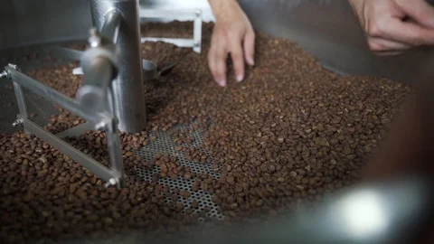 Hand picking bad roasted coffee beans Stock Footage 102826573