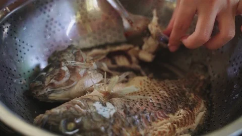 Hand picking boiled fish meat Stock Footage 97096255